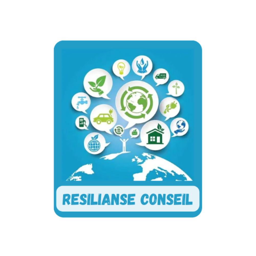 Logo de Resilianse - Laurent Bachimont